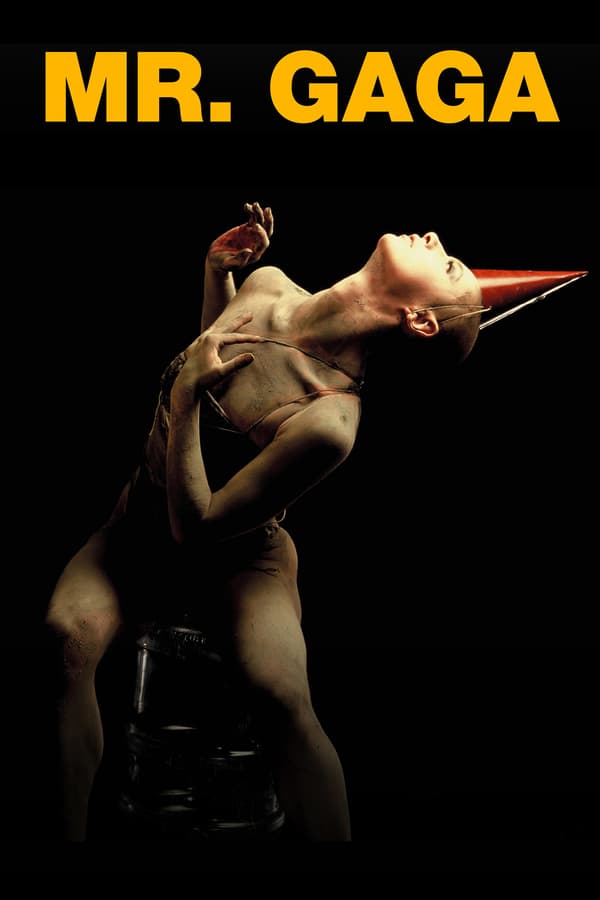 Mr. Gaga Movie Poster