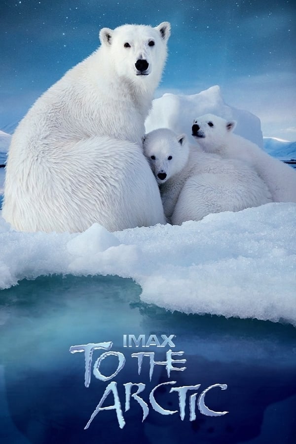 To The Arctic Movie Poster