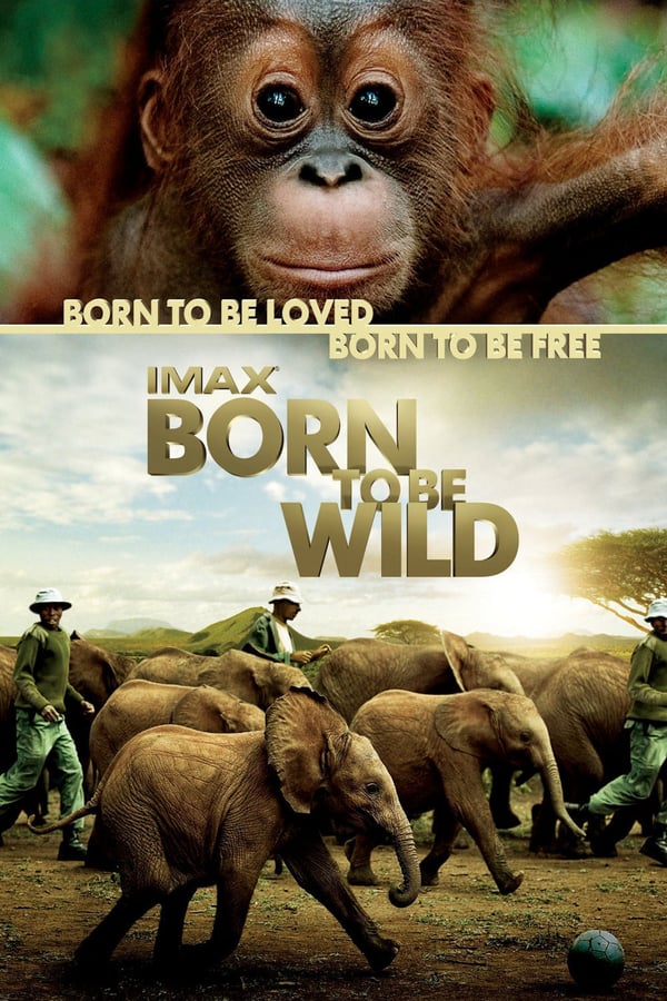 Born To Be Wild Movie Poster