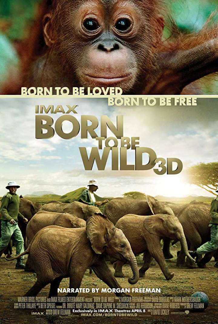 Born to Be Wild(ImaxDigital3D) Movie Poster