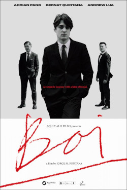 Boi Movie Poster