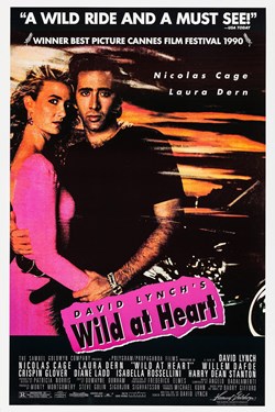the wild at heart reviews