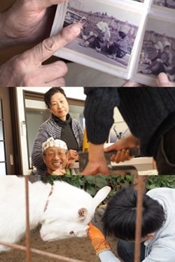 Caring Enough To Remember Movie Poster