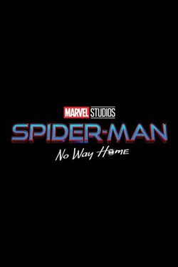 Spider-Man: No Way Home Movie Poster