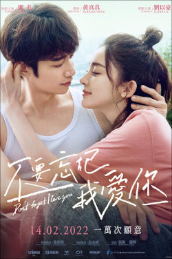 Don't Forget I Love You Movie Poster