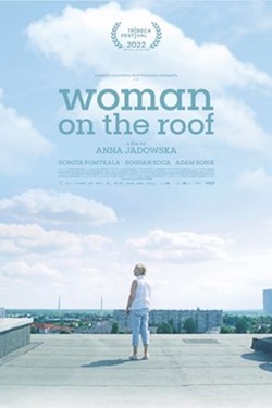 Woman On The Roof Movie Poster