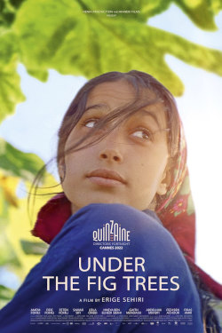 Under The Fig Trees Movie Poster