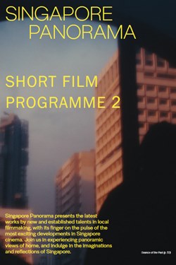 Singapore Panorama: Short Film Programme 2 Movie Poster