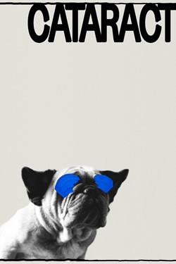 Cataract Movie Poster