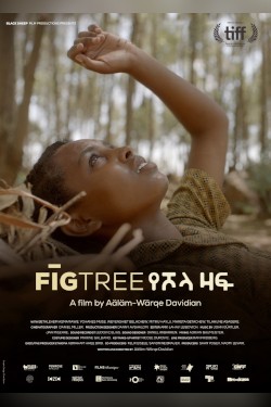 Fig Tree Movie Poster