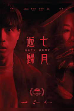 Back Home Movie Poster