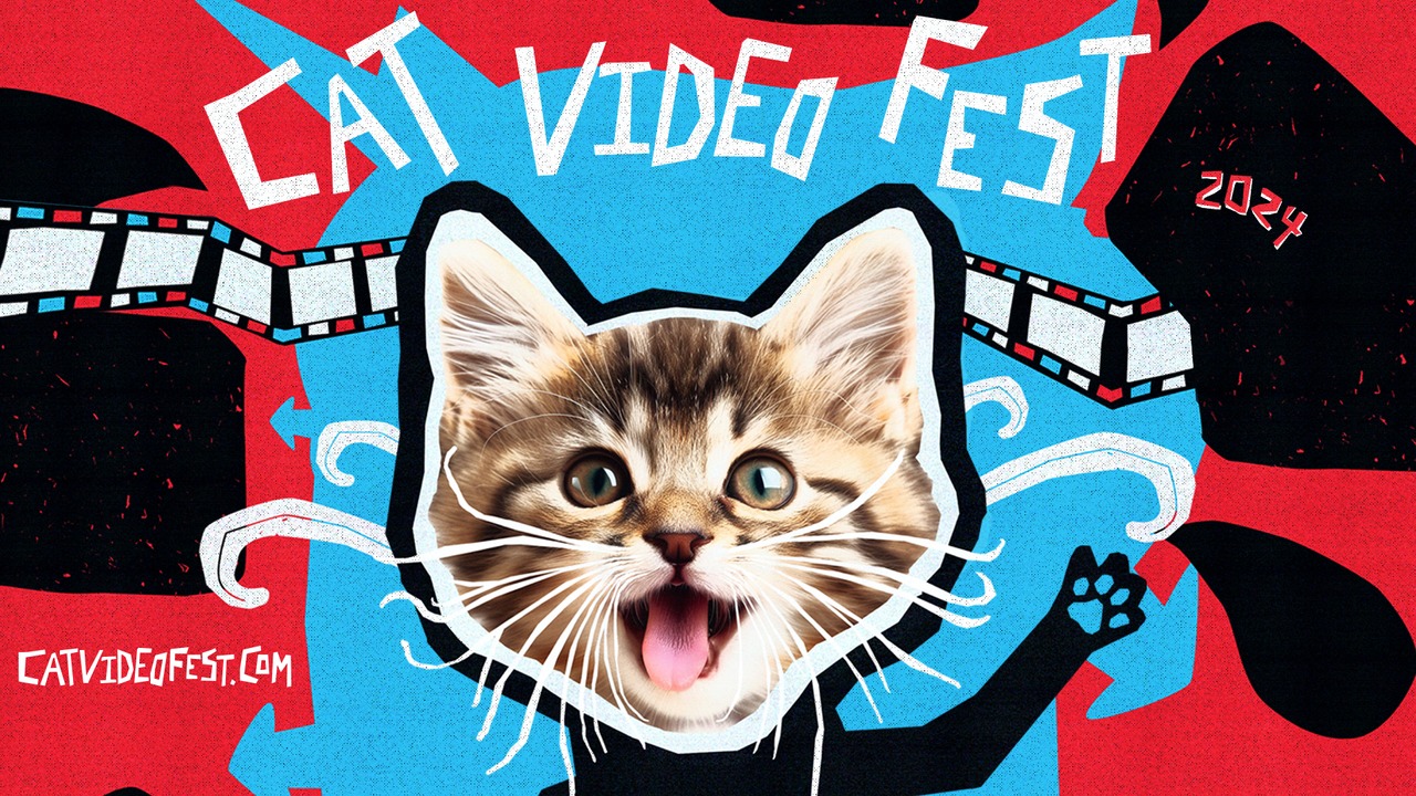 Cat Video Fest 2024 x Cat Welfare Society Movie Poster