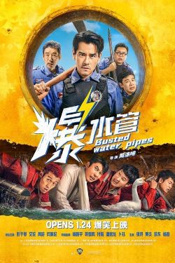 Busted Water Pipes Movie Poster