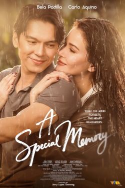 A Special Memory Movie Poster