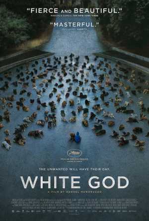 White God Movie Poster