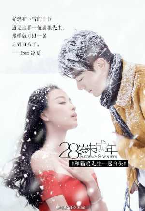 Suddenly Seventeen Movie Poster