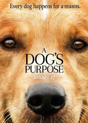 A Dog's Purpose Movie Poster