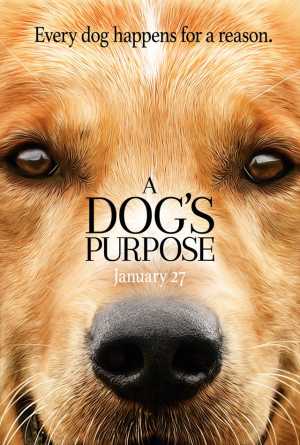 A dogs purpose Movie Poster