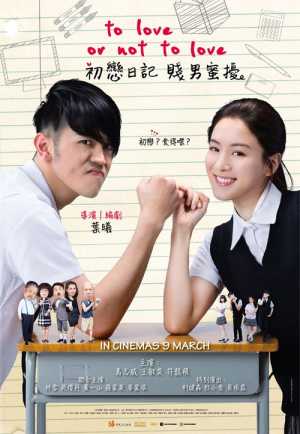 To Love Or Not To Love Movie Poster