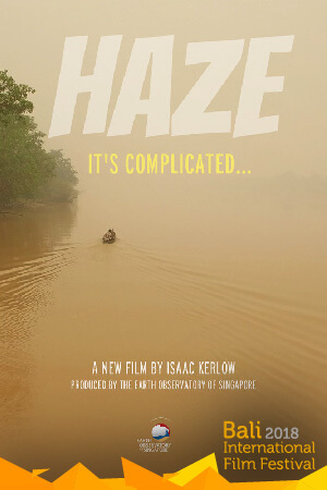 Haze, It's Complicated  Movie Poster