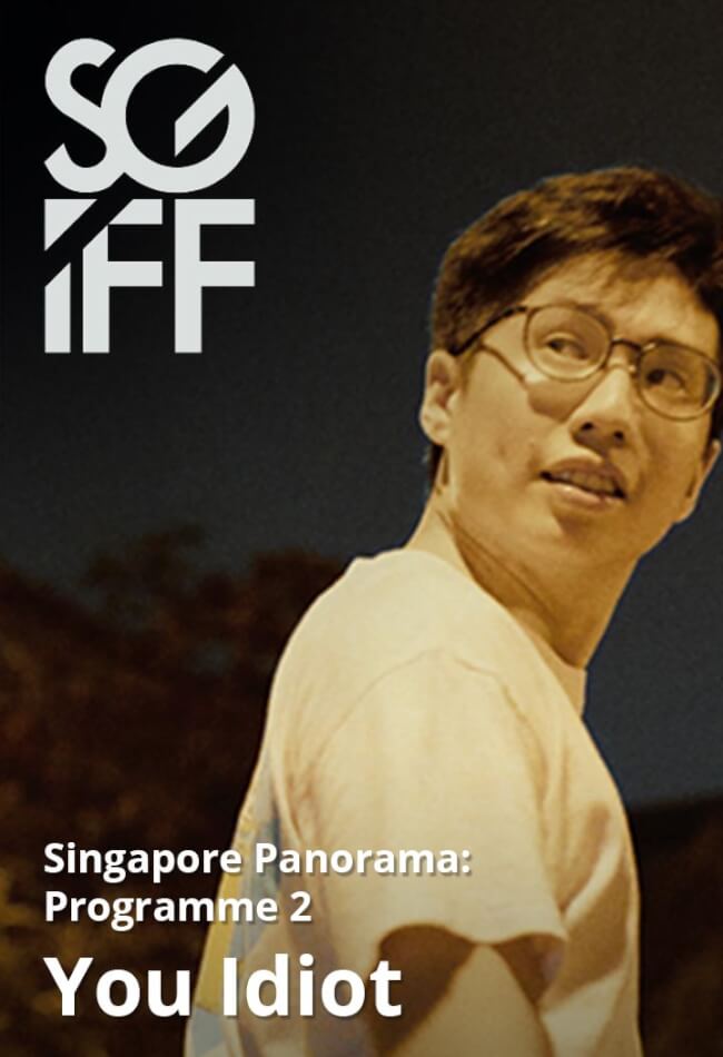 Singapore Panorama: Programme 2  Movie Poster