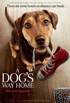 A Dog's Way Home Movie Poster