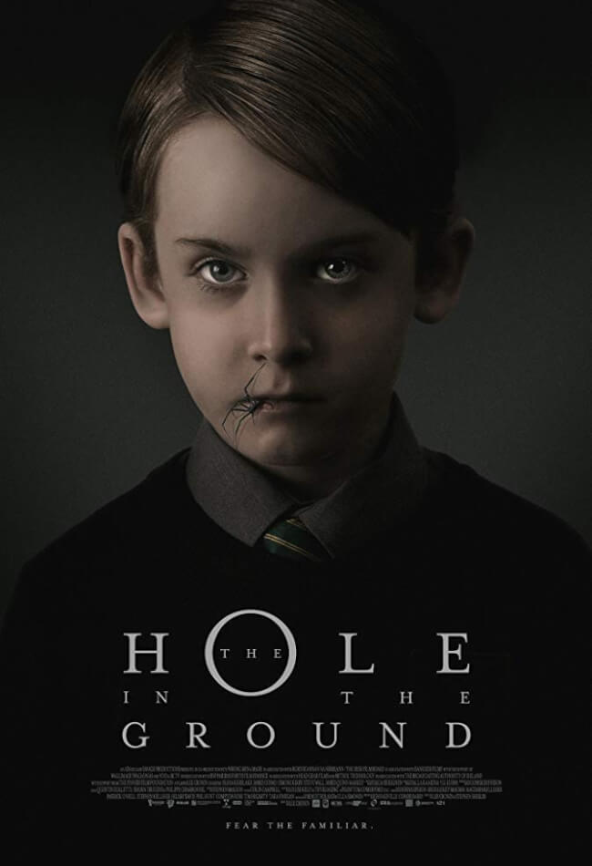 The Hole In The Ground Movie Poster