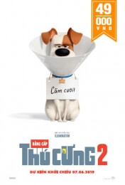 THE SECRET LIFE OF PET 2 Movie Poster