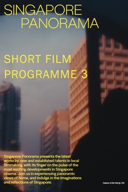 Singapore Panorama: Short Film Programme 3 Movie Poster