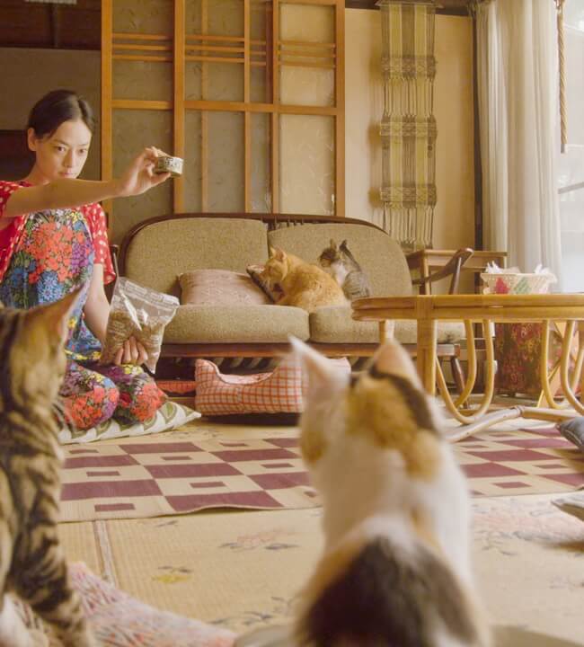 Cat Welfare Society Fundraiser: Rent-A-Cat Movie Poster
