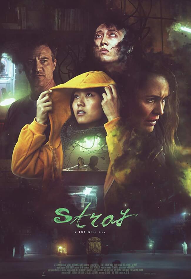 Stray Movie Poster