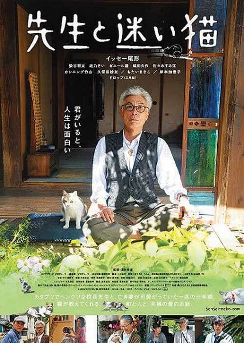 Cat Welfare Society Fundraiser - Finding Calico Movie Poster