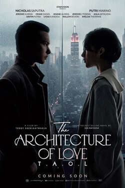 The architecture of love Movie Poster