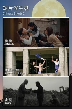 Chinese Shorts 2 Movie Poster