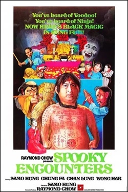 Encounter Of The Spooky Kind Movie Poster