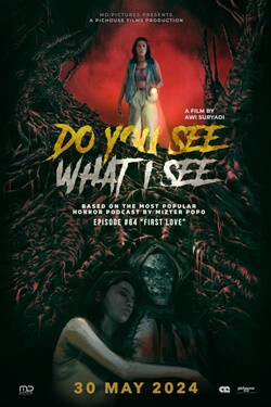 Do You See What I See Movie Poster