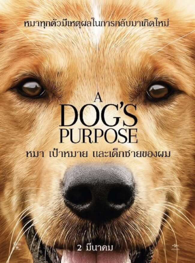 A Dogs Purpose Movie Poster