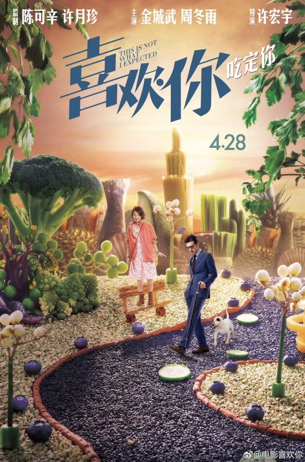 This Is Not What I Expected Movie Poster