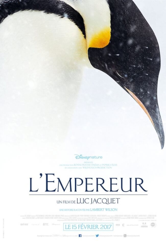 March Of The Penguins 2: The Call Movie Poster