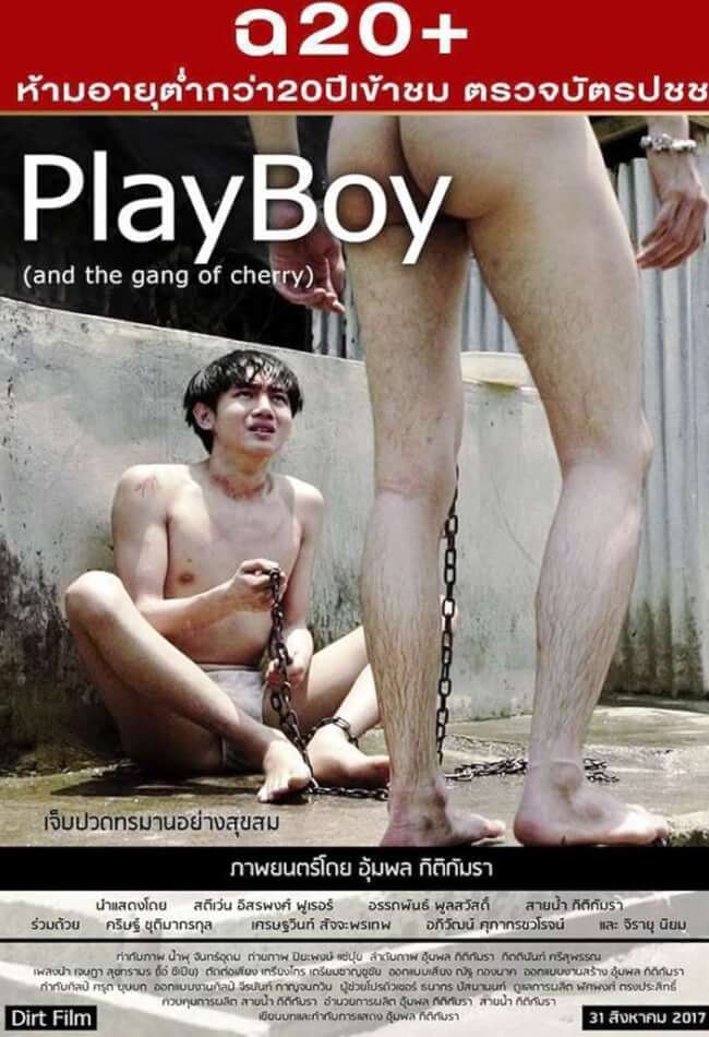 PlayBoy Movie Poster