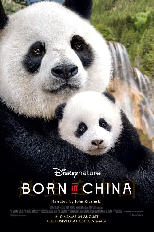 Born In China Movie Poster