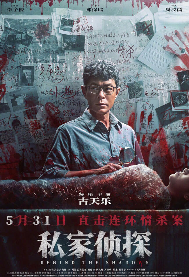 Behind The Shadows Movie Poster