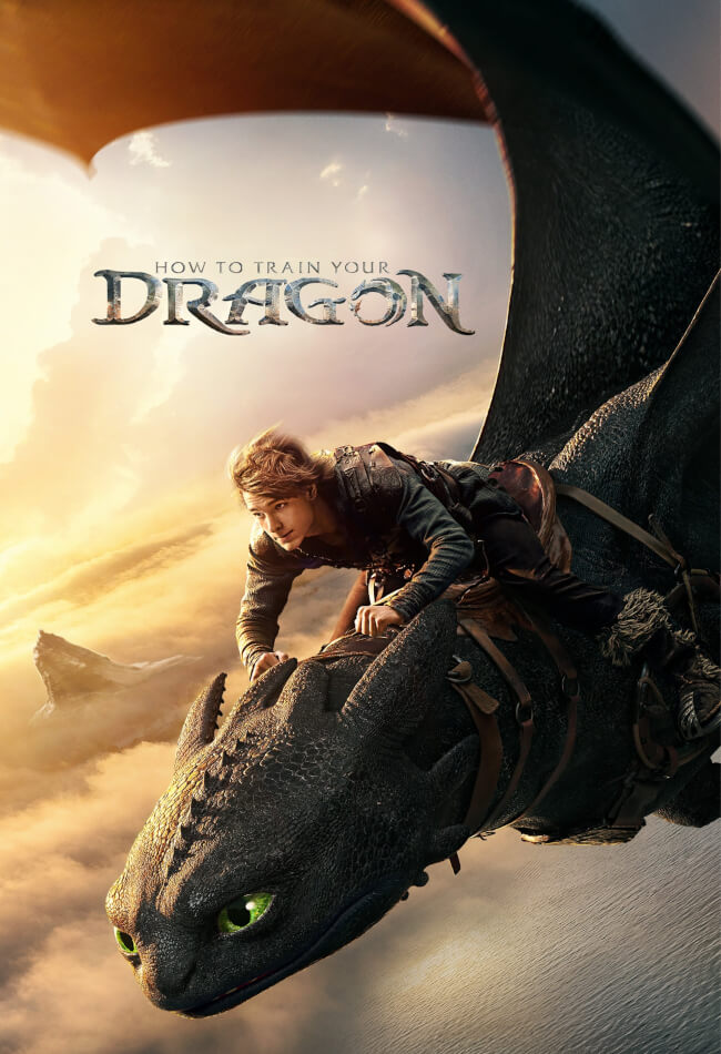 How To Train Your Dragon Movie Poster