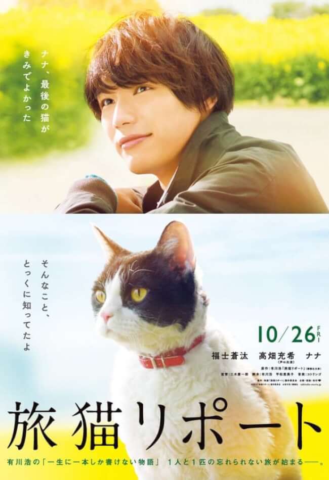 The Travelling Cat Chronicles Movie Poster