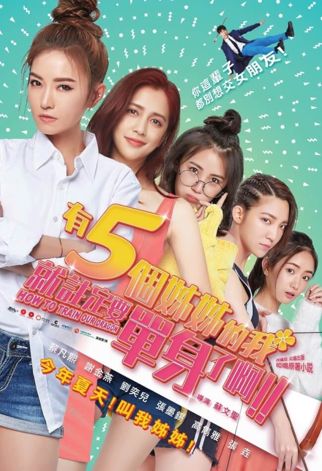 How To Train Our Dragon Movie Poster