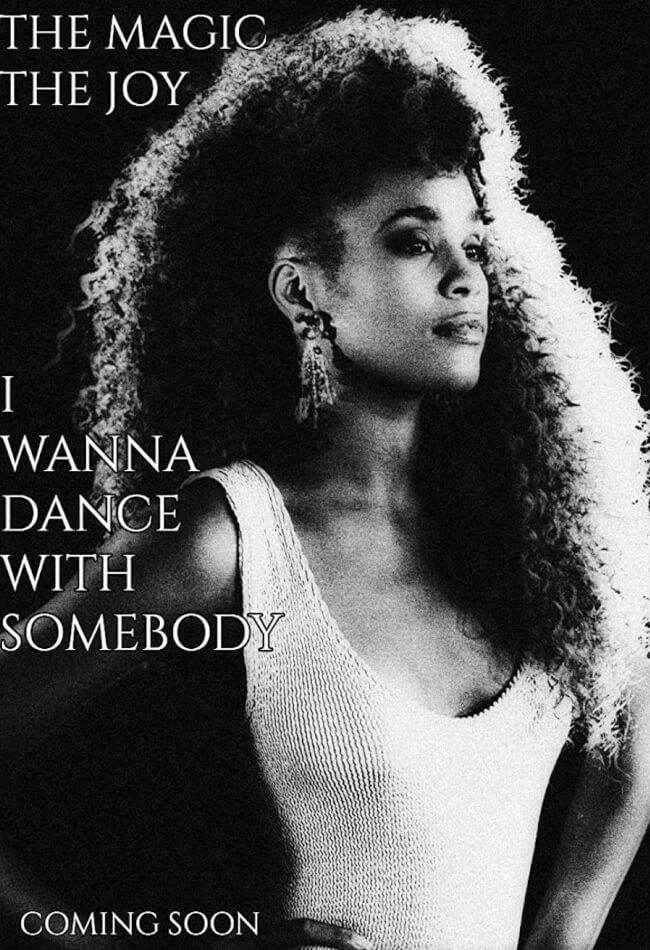 I Wanna Dance With Somebody Movie Poster