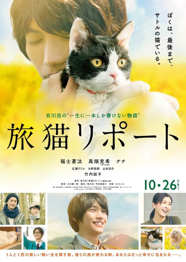 The Travelling Cat Chronicles Movie Poster
