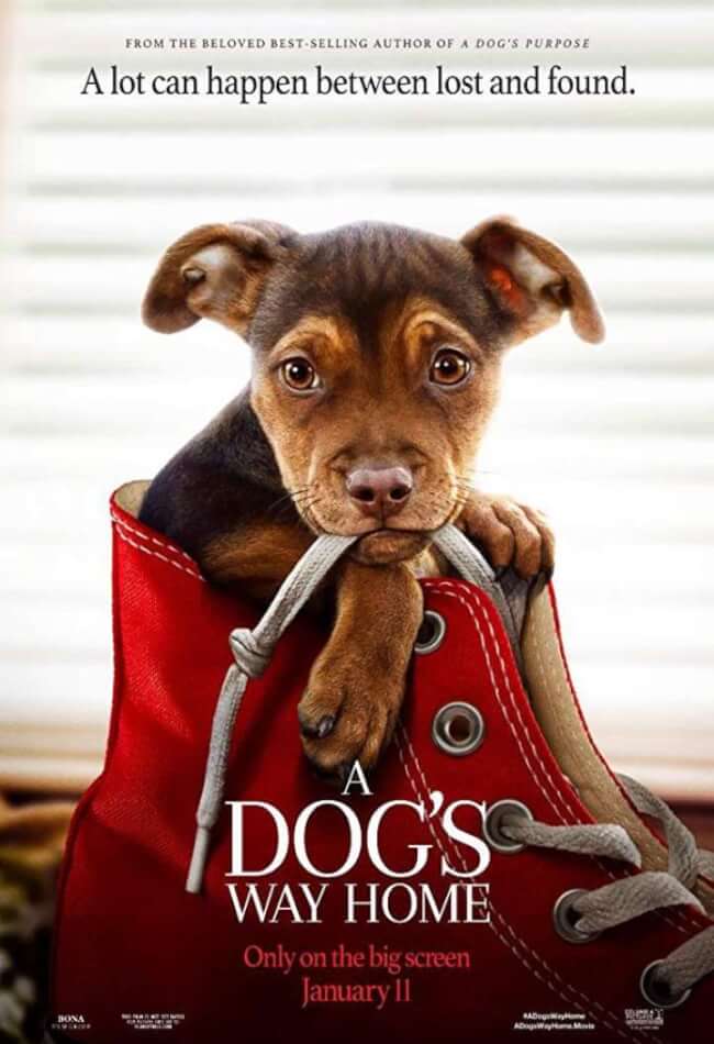 A Dogs Way Home Movie Poster